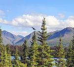 Train to Denali